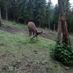 phoca_thumb_m_2. den vp 9 Fotogalerie